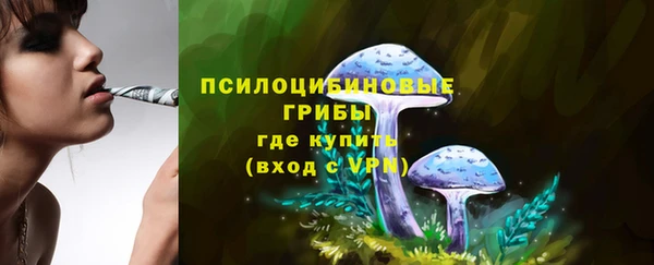 таблы Алексеевка
