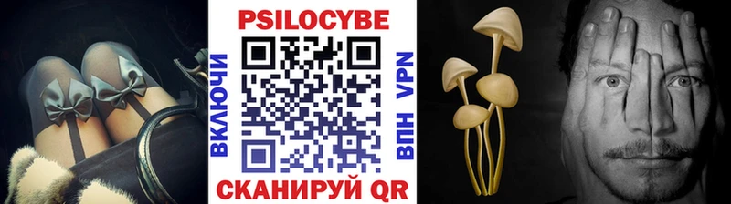 mega зеркало  Удомля  Галлюциногенные грибы MAGIC MUSHROOMS 