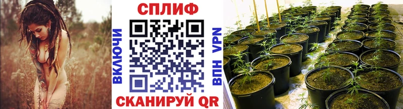 Конопля THC 21%  где купить наркоту  Удомля 